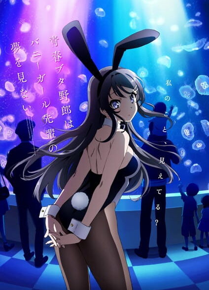 دانلود انیمه  Seishun Buta Yarou wa Bunny Girl Senpai no Yume wo Minai